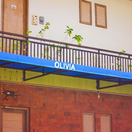 Olivia Soho Guest House 勒吉安 外观 照片